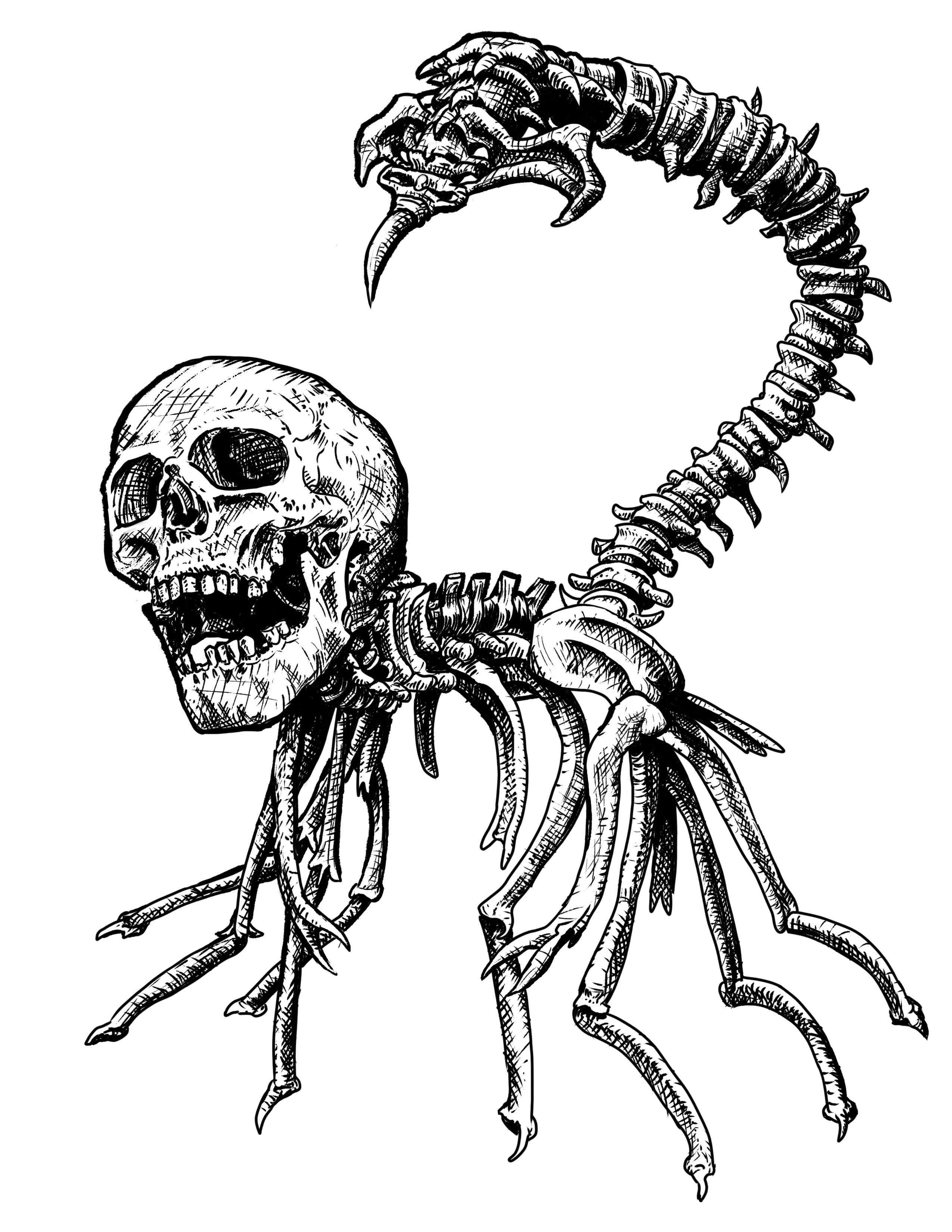 Skelachnid artwork